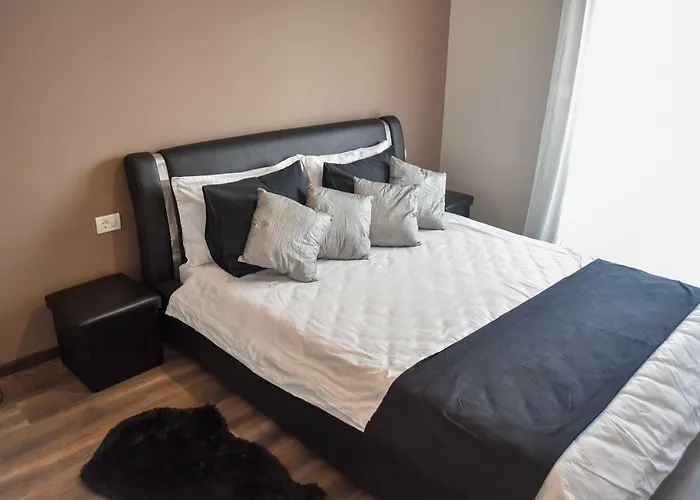 Apartment Wood Timisoara